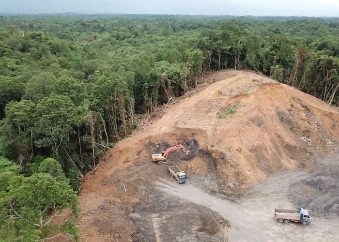 درخواست تصویب قانون ممنوعیت ساخت و ساز در بخش‌های آسیب‌دیده جنگل‌ها و بازکاشت مجدد درختان بومی در هر بخش آسیب‌دیده