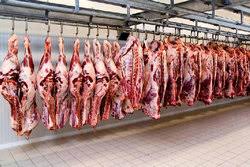 واردات روزانه ۶ هزار رأس دام از رومانی/ قیمت شقه گوسفندی به ۸۲ هزار تومان رسید