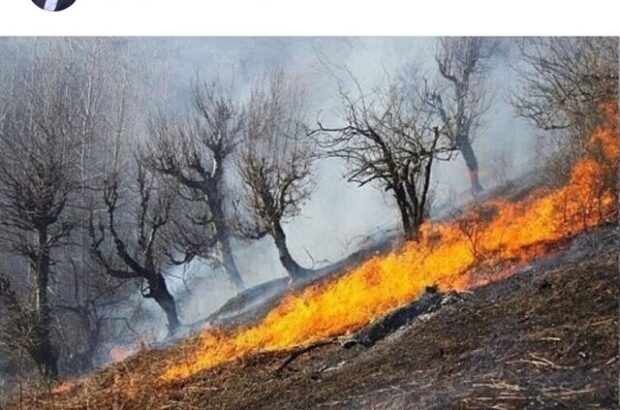 گزارش جامع آتش‌سوزی «خائیز» برای رئیس‌جمهوری ارسال می‌شود