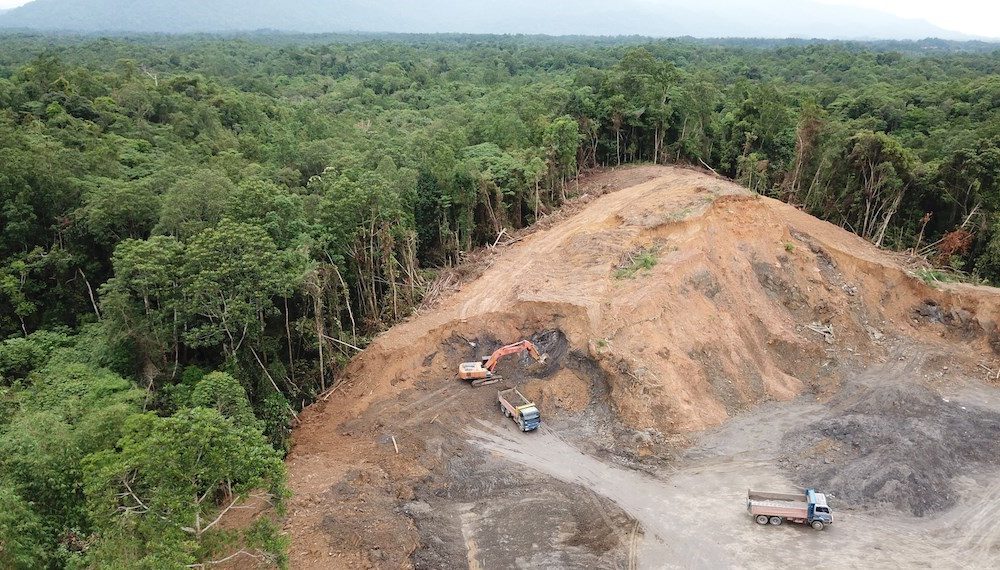 درخواست تصویب قانون ممنوعیت ساخت و ساز در بخش‌های آسیب‌دیده جنگل‌ها و بازکاشت مجدد درختان بومی در هر بخش آسیب‌دیده
