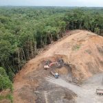 درخواست تصویب قانون ممنوعیت ساخت و ساز در بخش‌های آسیب‌دیده جنگل‌ها و بازکاشت مجدد درختان بومی در هر بخش آسیب‌دیده